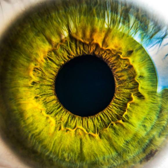 Meet your Posher, Amy - Picture 1 of 1